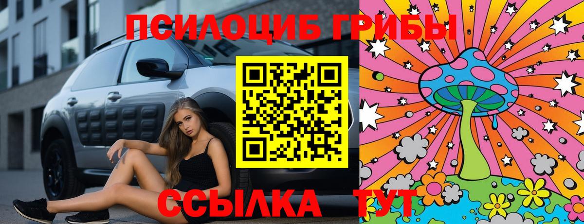 Коломна  Псилоцибиновые грибы прущие грибы  Вход с VPN 