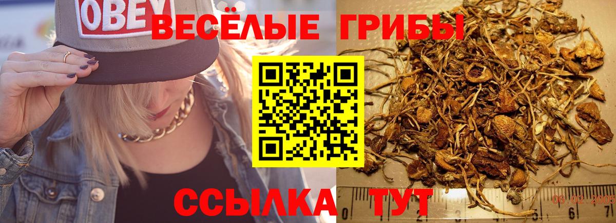 Псилоцибиновые грибы ЛСД Коломна